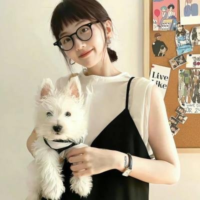 狗狗与我的十个约定